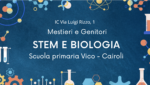 Stem Biologia